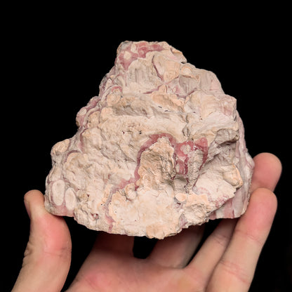 Rhodochrosite (polished)