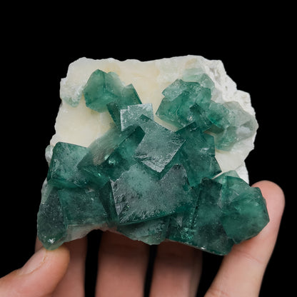 Fluorite on Quartz