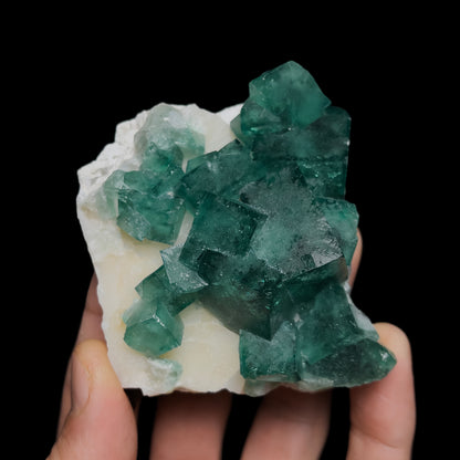 Fluorite on Quartz