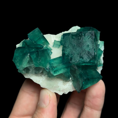 Fluorite on Quartz